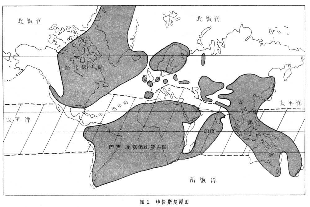 2022特斯拉model